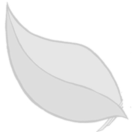 le jardin se crée feuille
